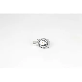 Thermostat d'eau BSG BSG 90-125-007