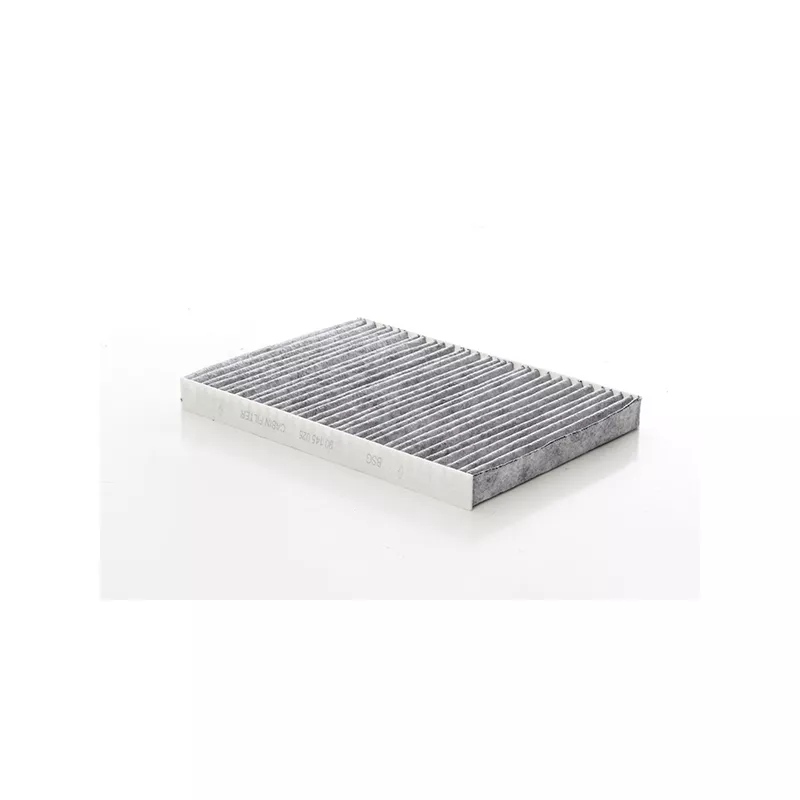 Filtre, air de l'habitacle BSG BSG 90-145-025