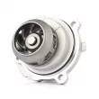 Pompe à eau BSG BSG 90-500-011 - Visuel 2