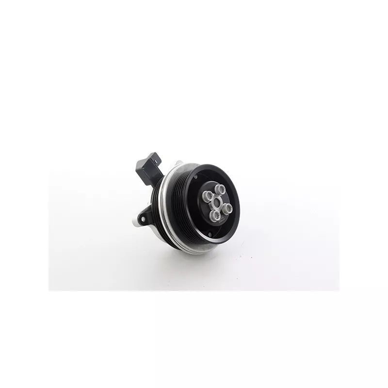Pompe à eau, refroidissement du moteur BSG BSG 90-500-035