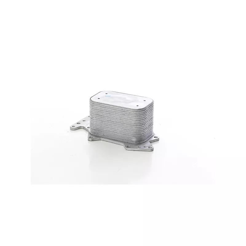 Radiateur d'huile BSG BSG 90-506-017