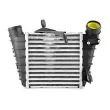 Intercooler, échangeur BSG BSG 90-535-006 - Visuel 2