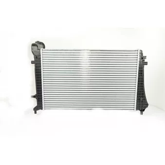 Intercooler, échangeur BSG BSG 90-535-011