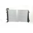 Intercooler, échangeur BSG BSG 90-535-011 - Visuel 2