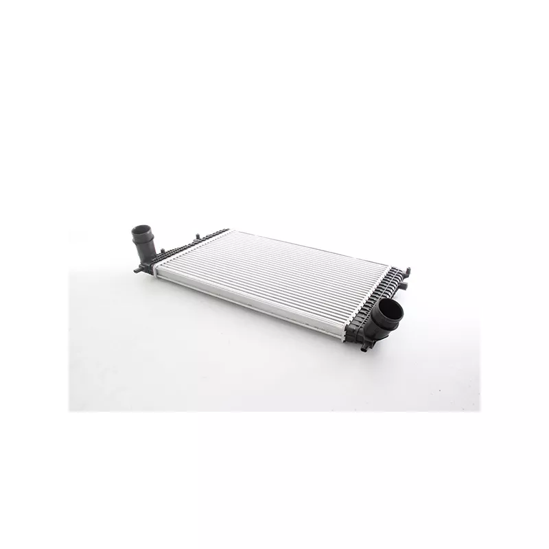Intercooler, échangeur BSG BSG 90-535-017
