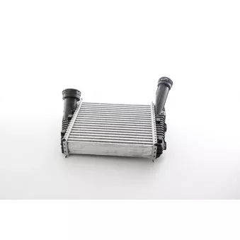 Intercooler, échangeur BSG BSG 90-535-019