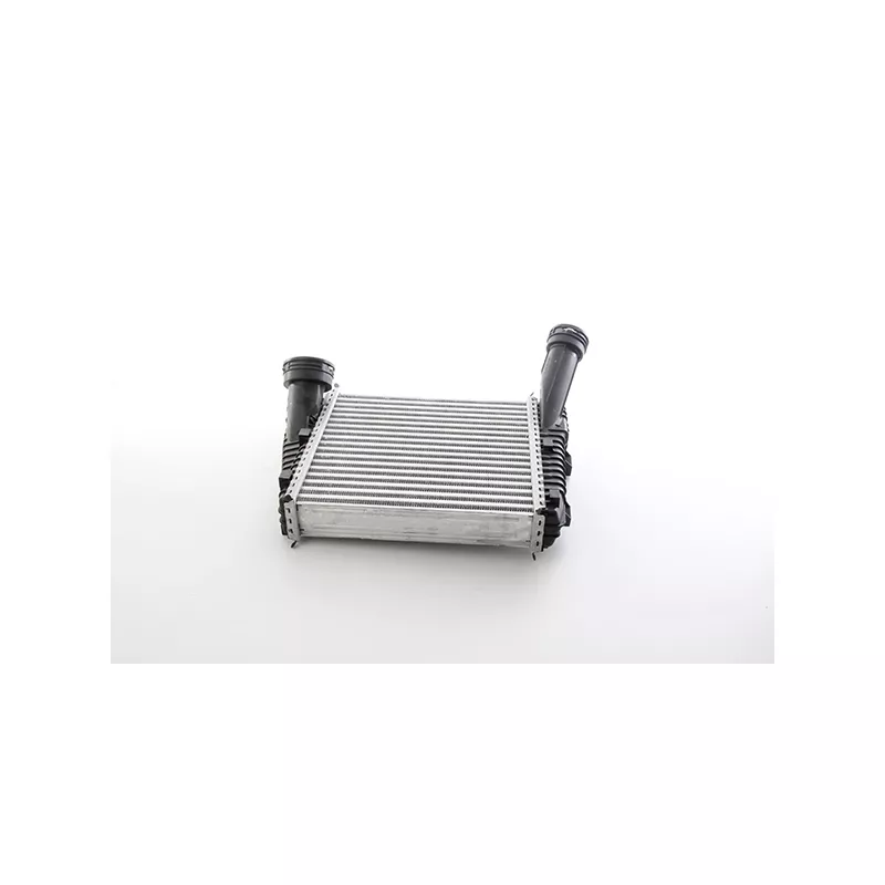 Intercooler, échangeur BSG BSG 90-535-019