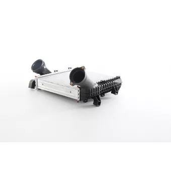 Intercooler, échangeur BSG BSG 90-535-020