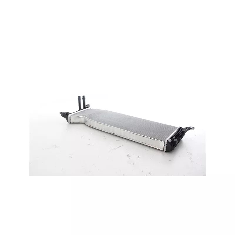 Radiateur, refroidissement du moteur BSG BSG 90-535-021
