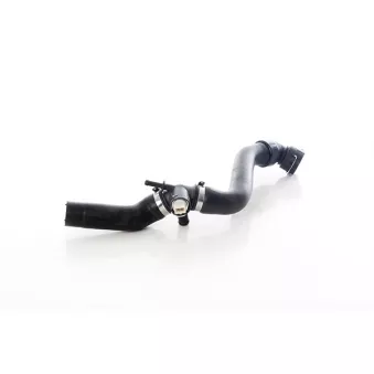 Durite de radiateur BSG BSG 90-720-196