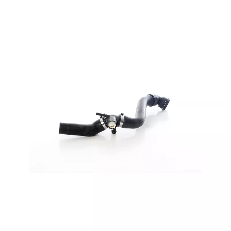 Durite de radiateur BSG BSG 90-720-196