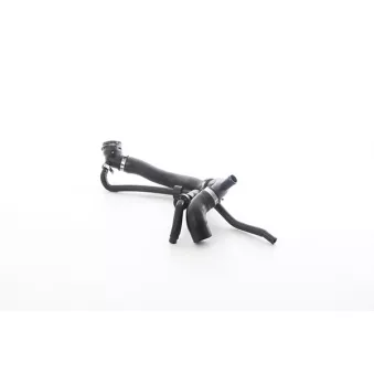 Durite de radiateur BSG BSG 90-720-257