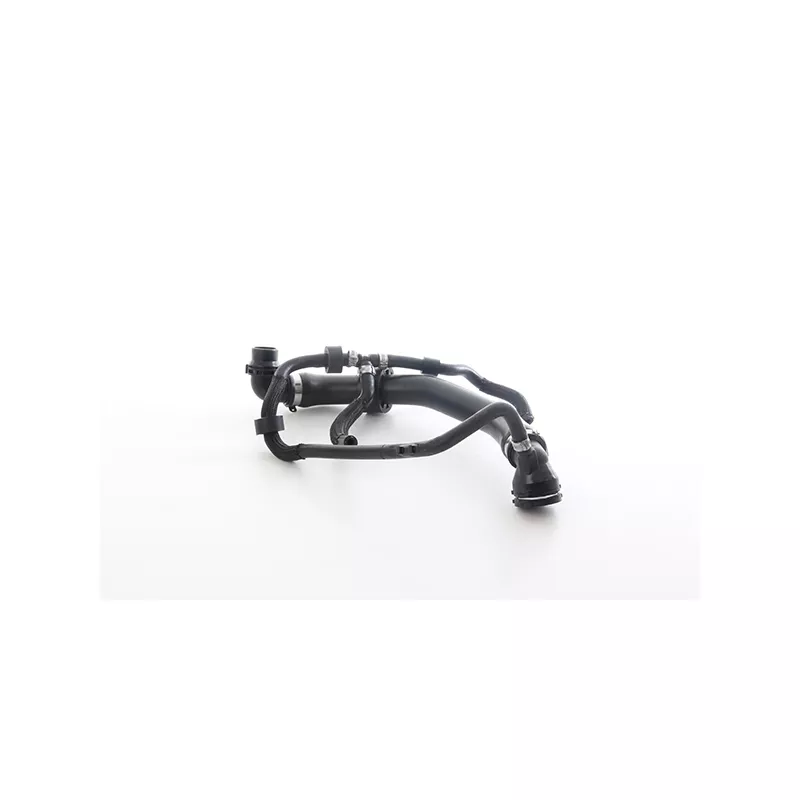 Durite de radiateur BSG BSG 90-720-266