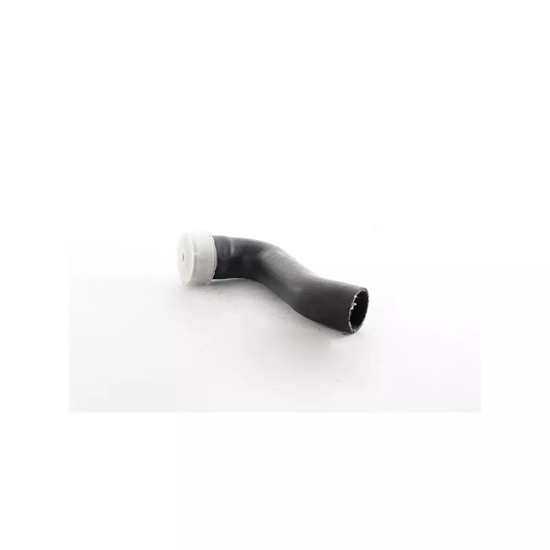 Gaine de suralimentation BSG BSG 90-720-287