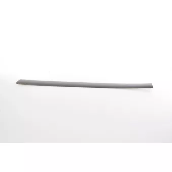 Baguette et bande protectrice, aile arrière gauche BSG BSG 90-924-058