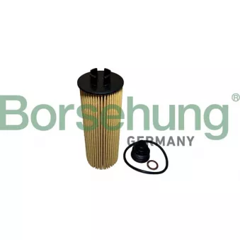 Filtre à huile Borsehung