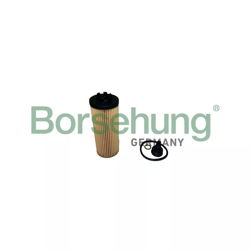 Filtre à huile Borsehung B10437
