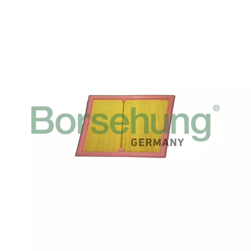 Filtre à air Borsehung B12439