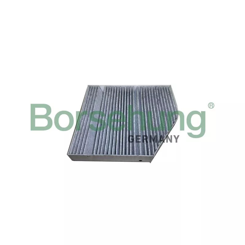 Filtre, air de l'habitacle Borsehung B12449
