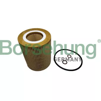 Filtre à huile Borsehung