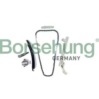 Kit de distribution par chaîne Borsehung