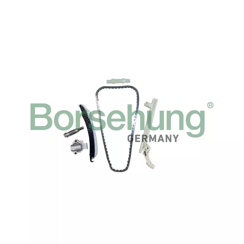 Kit de distribution par chaîne Borsehung B12556