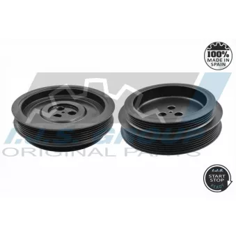 Poulie, vilebrequin IJS GROUP