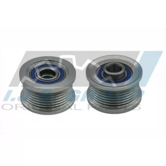 Poulie roue libre, alternateur IJS GROUP