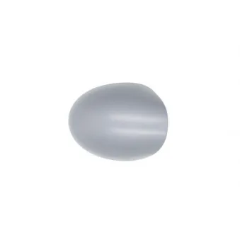 Boitier, rétroviseur extérieur BLIC 6103-09-2002218P