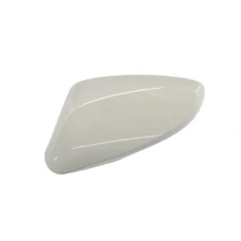 Boitier, rétroviseur extérieur BLIC 6103-20-2001369P