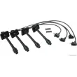 Kit de câbles d'allumage HERTH+BUSS JAKOPARTS J5382047 - Visuel 1