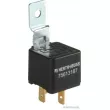 Relais, courant de travail HERTH+BUSS ELPARTS 75613187 - Visuel 1