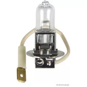 Ampoule, projecteur antibrouillard HERTH+BUSS ELPARTS