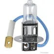 Ampoule, projecteur antibrouillard HERTH+BUSS ELPARTS 89901094 - Visuel 1