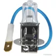 Ampoule HERTH+BUSS ELPARTS 89901097 - Visuel 1