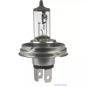 Ampoule HERTH+BUSS ELPARTS 89901203