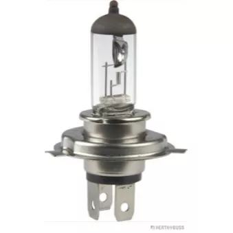 Ampoule, projecteur longue portée HERTH+BUSS ELPARTS 89901290