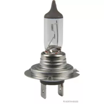Ampoule, projecteur longue portée HERTH+BUSS ELPARTS 89901295