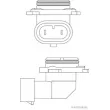 Ampoule, projecteur principal HERTH+BUSS ELPARTS 89901306 - Visuel 2