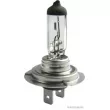Ampoule HERTH+BUSS ELPARTS 89901307 - Visuel 1