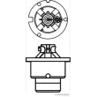 Ampoule, projecteur longue portée HERTH+BUSS ELPARTS 89901314 - Visuel 2