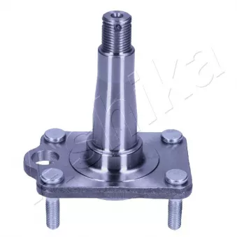 Moyeu de roue arrière ASHIKA 44-29048