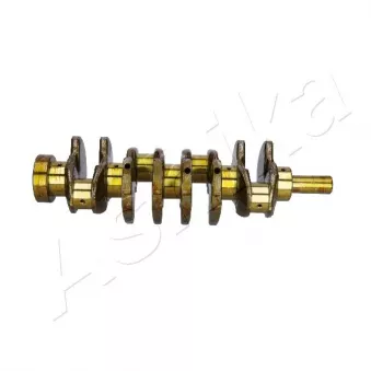 Vilebrequin ASHIKA 4D56T-19