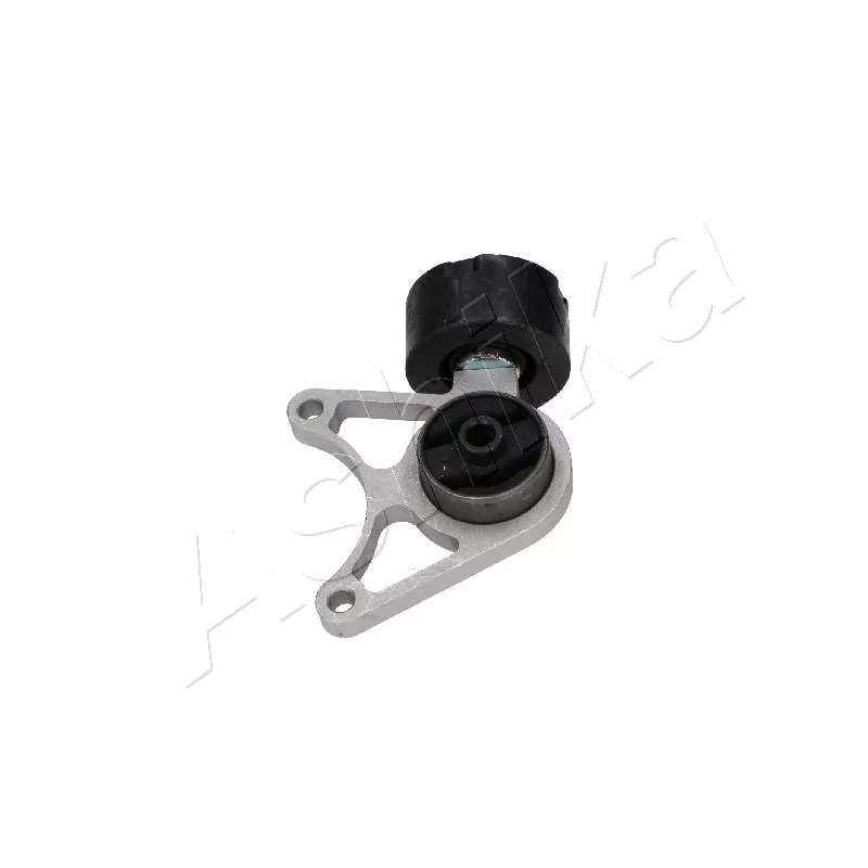 Suspension, Différentiel ASHIKA GOM-L42