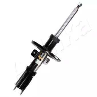 Amortisseurs avant ASHIKA MA-01175