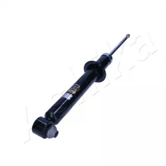 Jeu de 2 amortisseurs arrière ASHIKA MA-01192