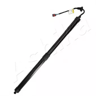 Vérin de hayon, de coffre ASHIKA