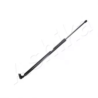 Vérin de hayon, de coffre arrière droit ASHIKA