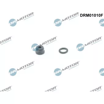 Kit d'assemblage, cylindre émetteur d'embrayage Dr.Motor DRM01010F
