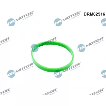 Joint d'étanchéité, collecteur d'admission Dr.Motor DRM02516